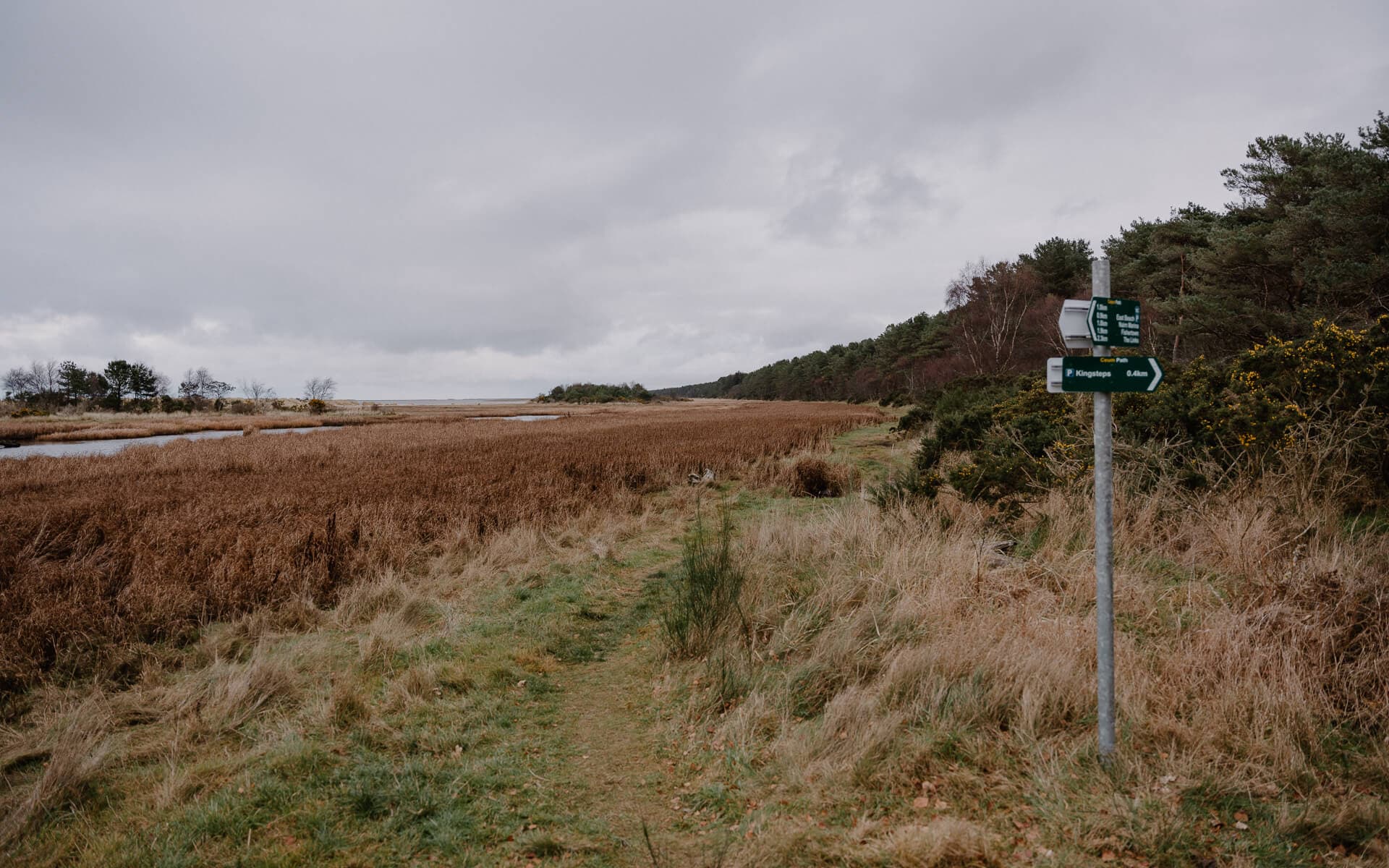 Culbin Forest