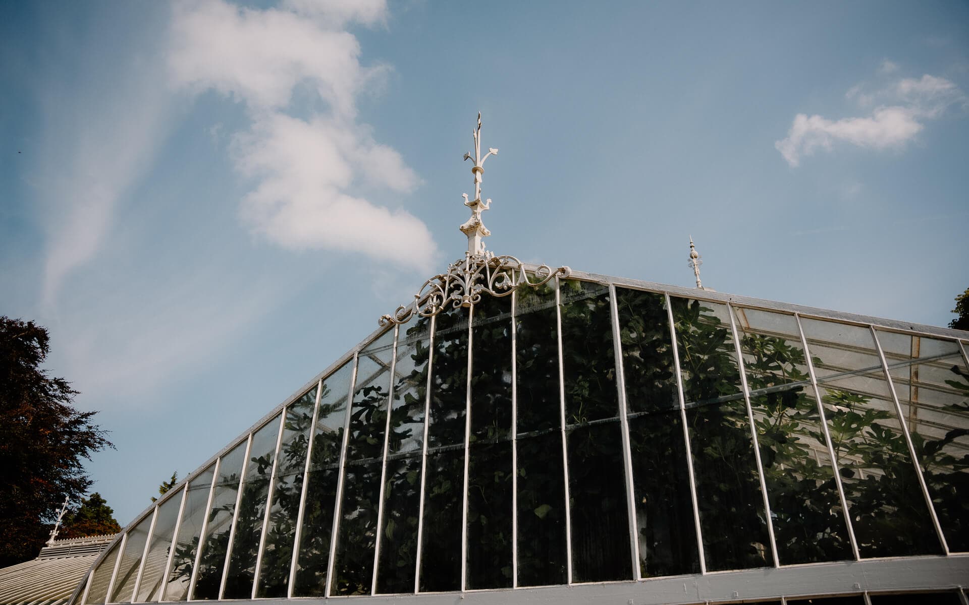 Glasgow Botanic Gardens